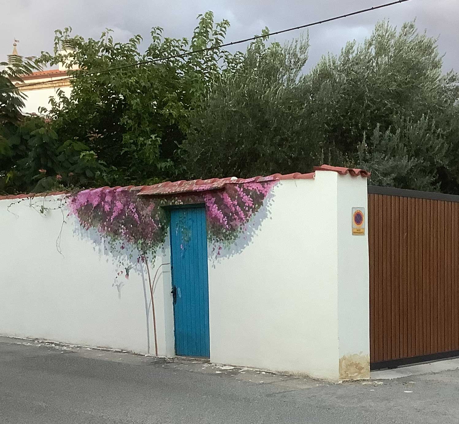 buganvilla con colibrí